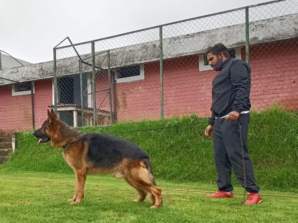Breeder selection advice example 7